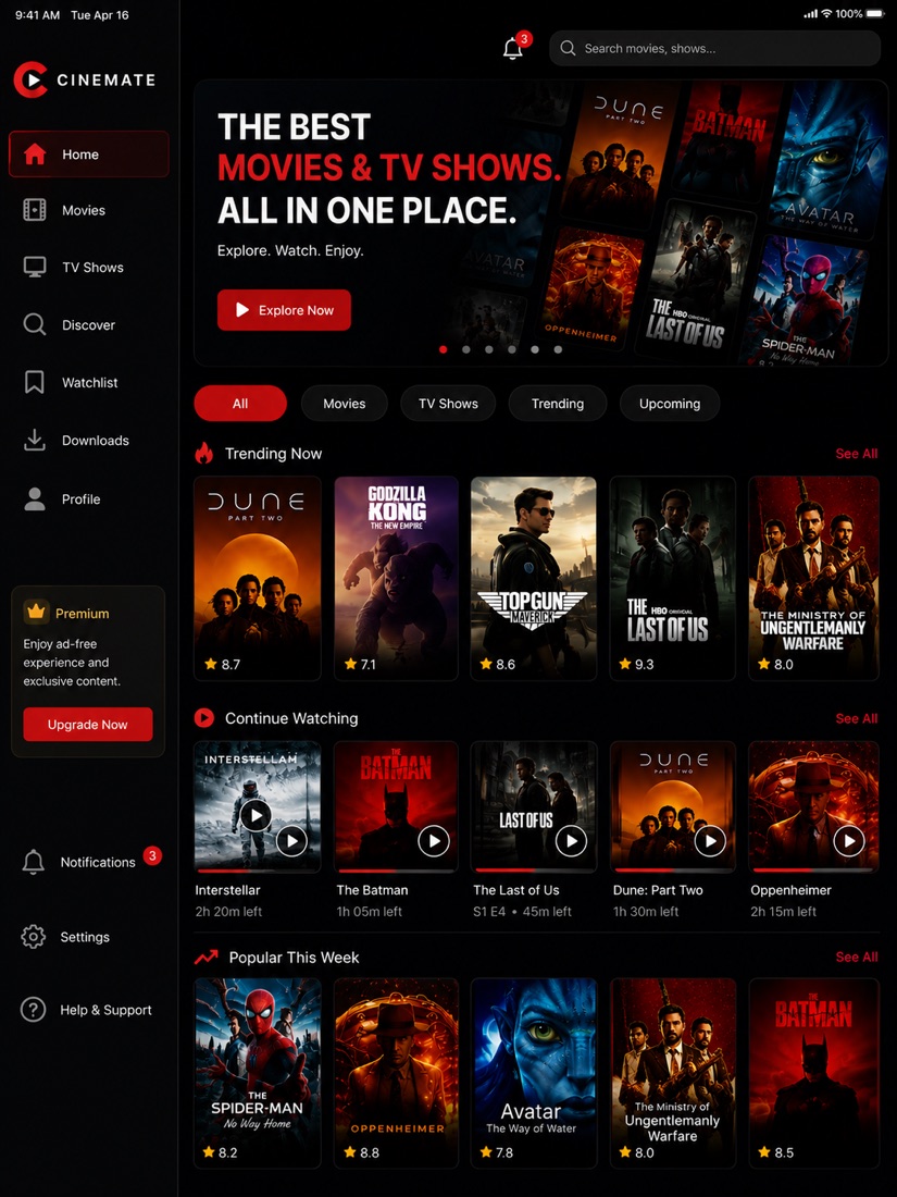 Cinemate on iPad — portrait view with sidebar